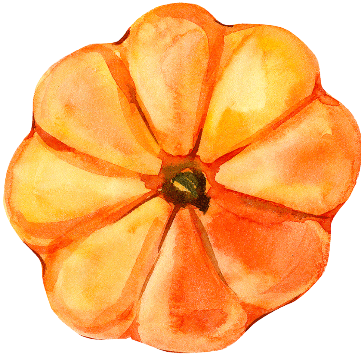 Pumpkin illustration